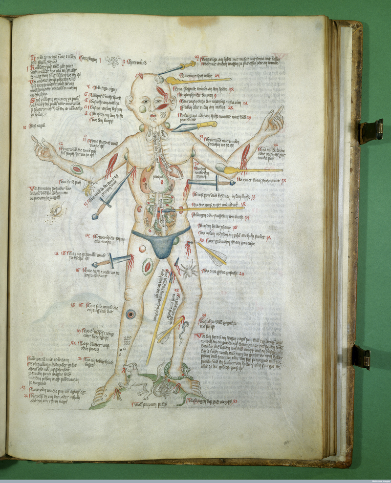 Illustration for article titled A Brief History of the Body Told Through 10 Eye-Popping Drawings
